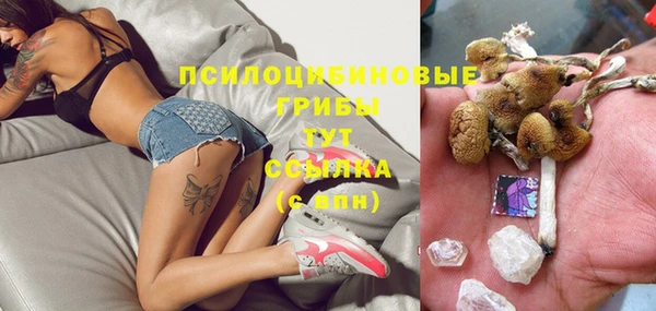 бошки Абинск