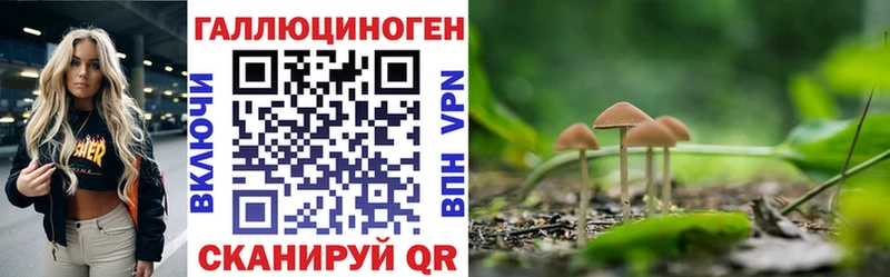 Галлюциногенные грибы Psilocybe  Серпухов 
