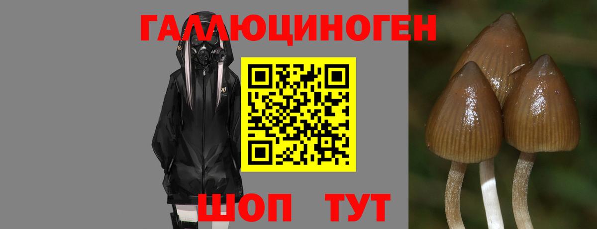 наркотики  Псилоцибиновые грибы Magic Shrooms  Вход с VPN  Серпухов 