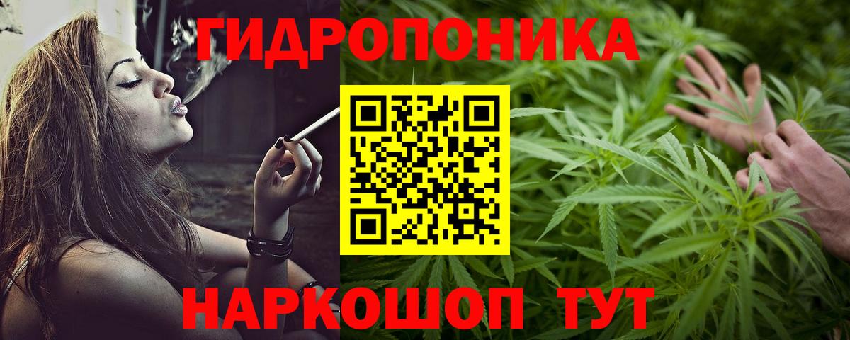 Марихуана ГИДРОПОН  Каннабис планчик  Вход с VPN  Серпухов  Каннабис VHQ 